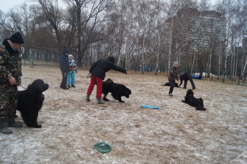 Фотография № 169812