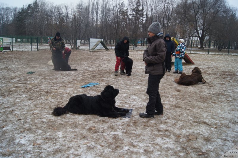 Фотография № 169823