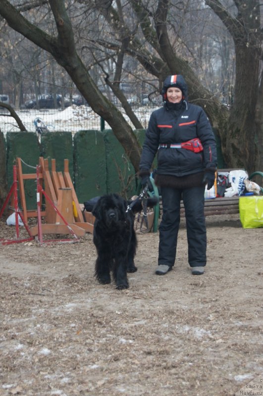 Фото: Ольга Музычук, ньюфаундленд Black Blues iz Volotova