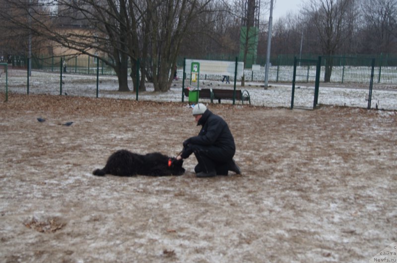 Фотография № 169833