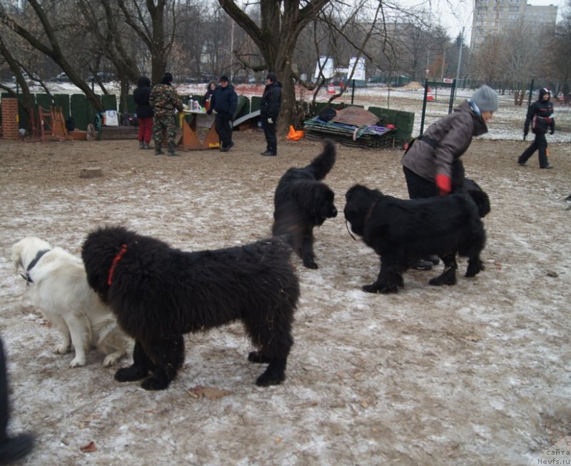 Фотография № 169836