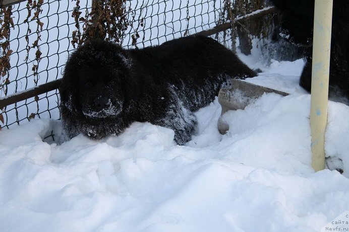 Фотография № 169851