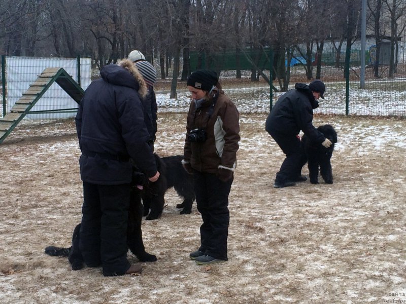 Фотография № 169853