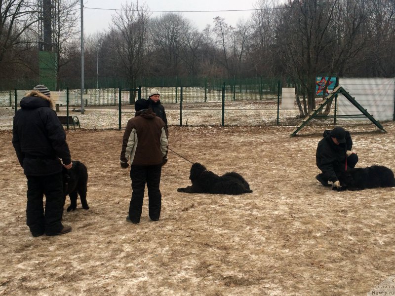 Фотография № 169855