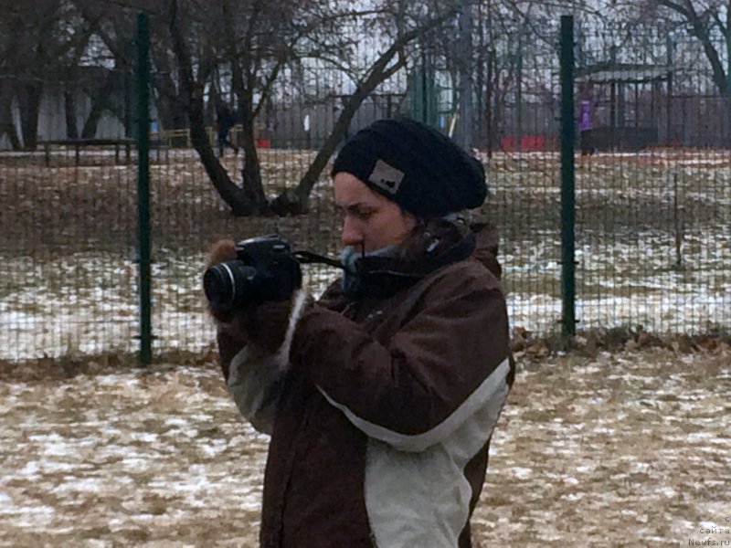 Фотография № 169857