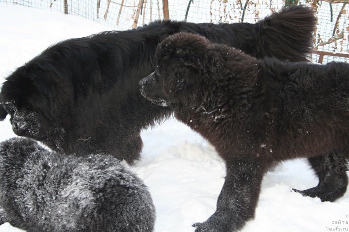 Фотография № 169859