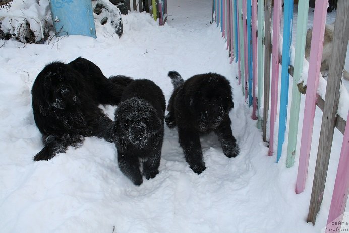 Фотография № 169860