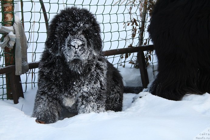 Фотография № 169862