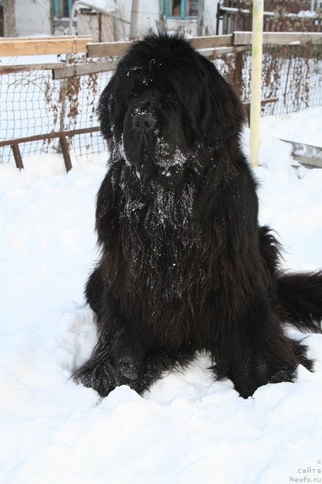 Фотография № 169863