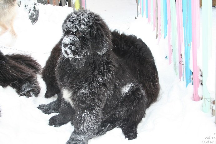 Фотография № 169864