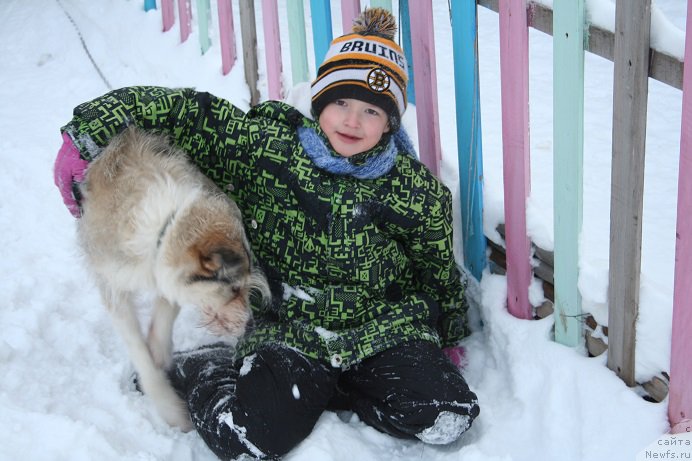 Фотография № 169865