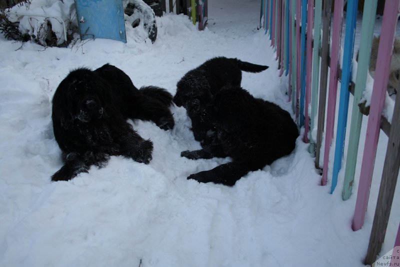 Фотография № 169866