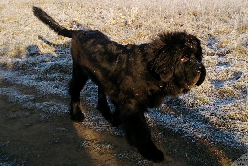 Фотография № 169894