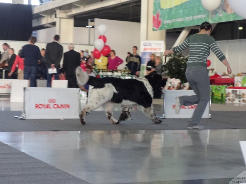 Фотография № 169916