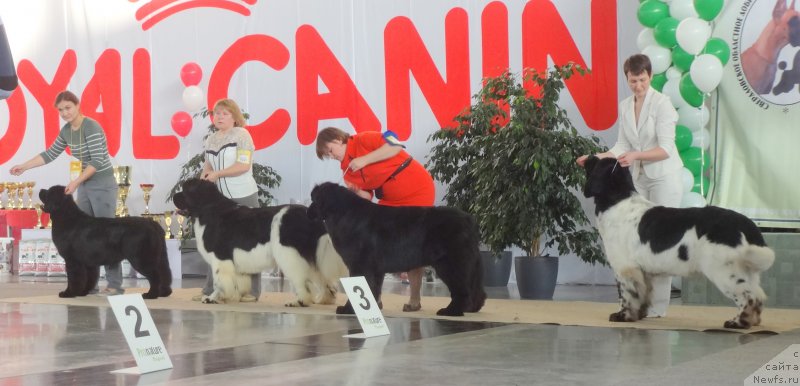 Фотография № 169920