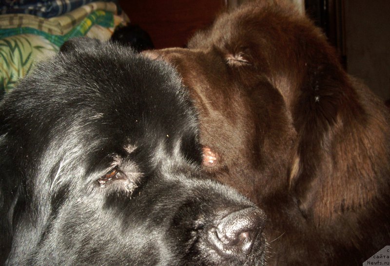 Фотография № 169931