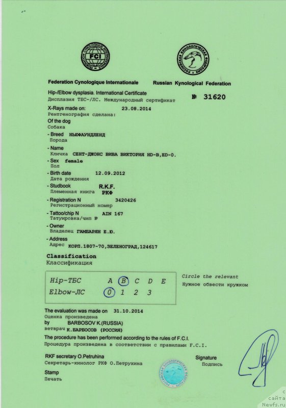 Фотография № 169947