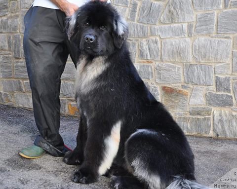 Фотография № 169952