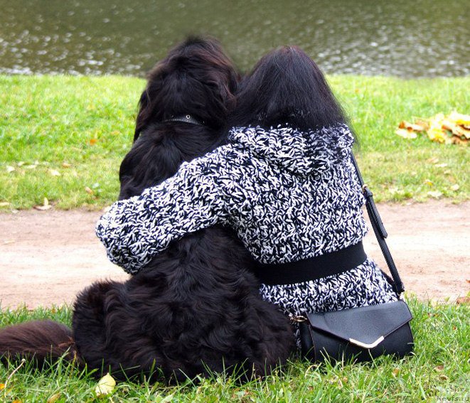 Фото: ньюфаундленд Velyke Malyatko Bayaderka Yurka, Ксения Чеснокова