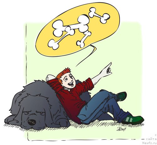 Фотография № 169976