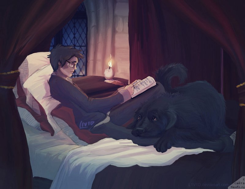 Фотография № 169979