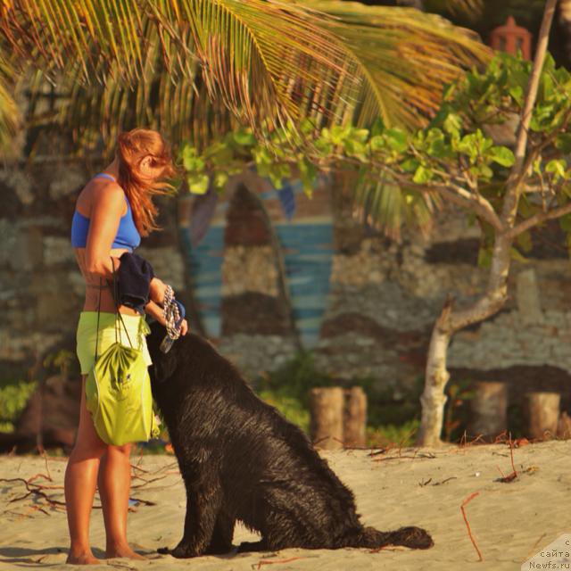 Фотография № 170010