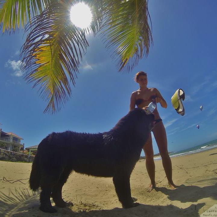 Фотография № 170013