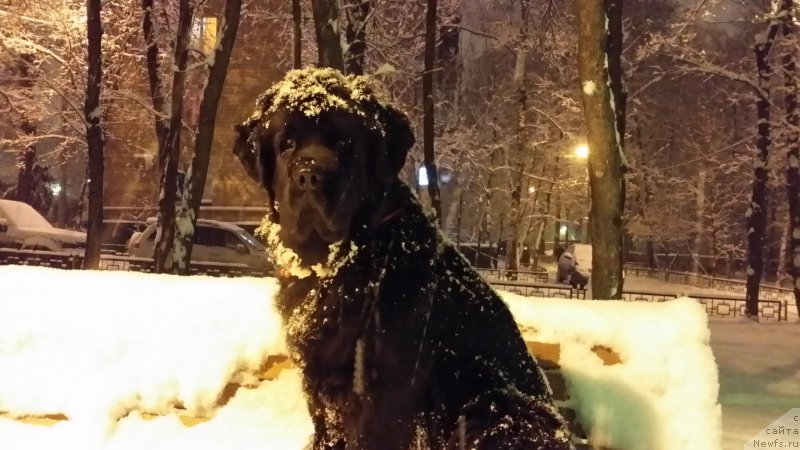 Фотография № 170032