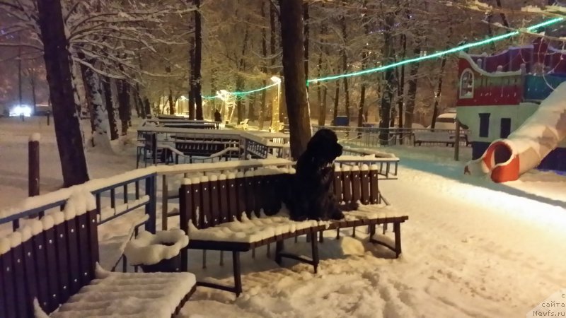 Фотография № 170033