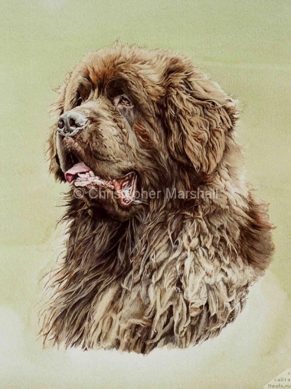 Фотография № 170051