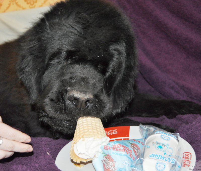 Фотография № 170062