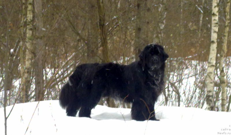 Фотография № 170122