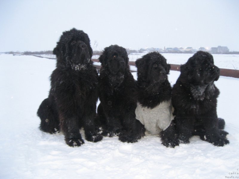 Фотография № 170155