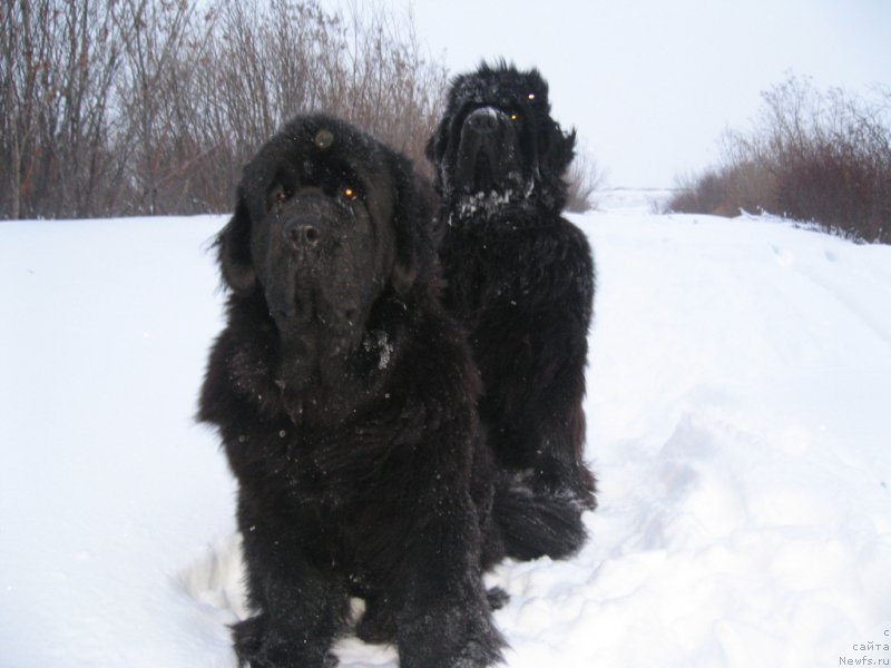 Фотография № 170157