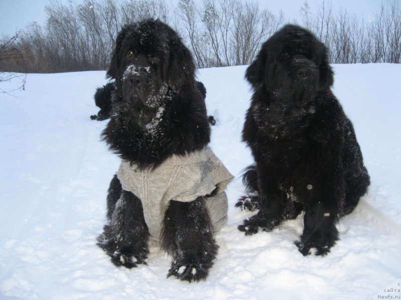 Фотография № 170158