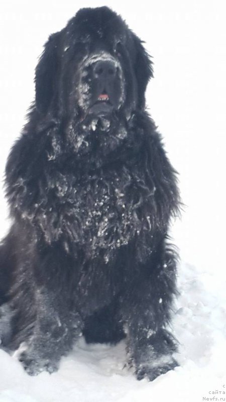 Фотография № 170163