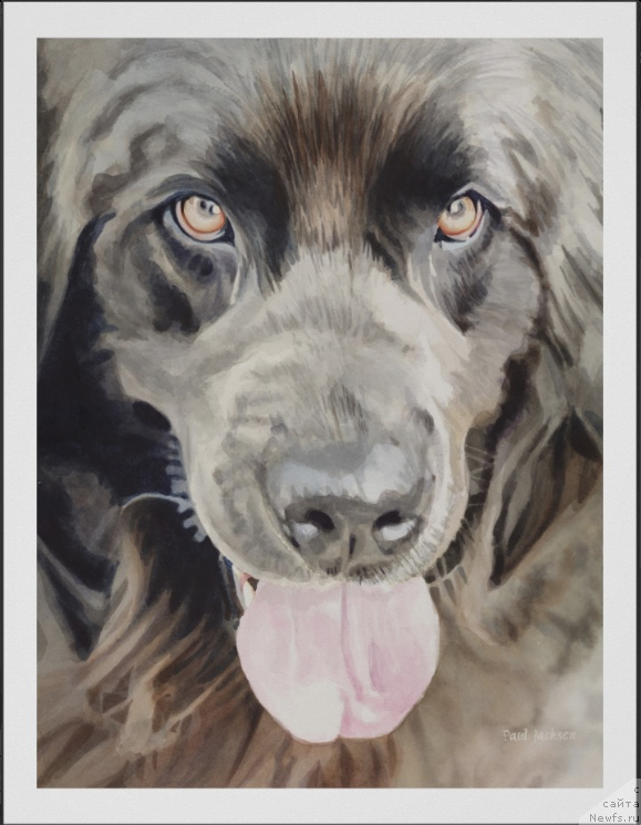 Фотография № 170218