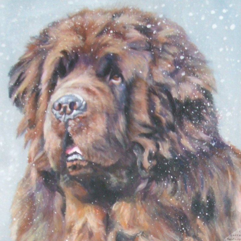 Фотография № 170232