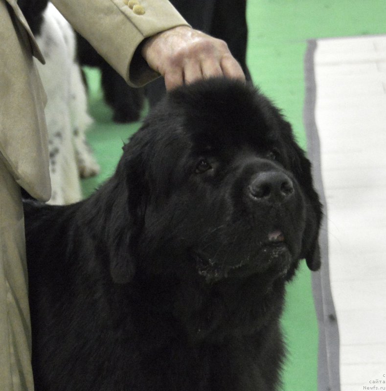 Фотография № 170289