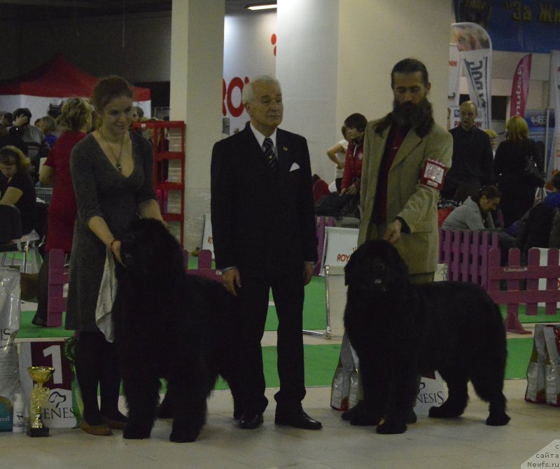 Фотография № 170290