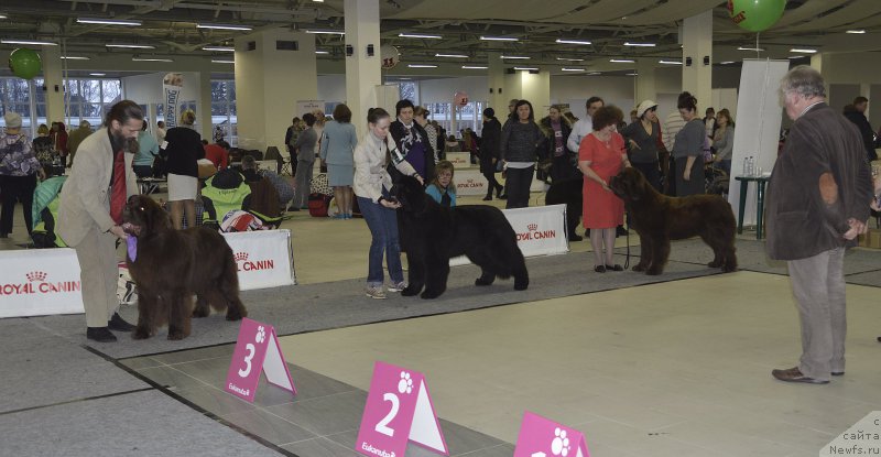 Фотография № 170296