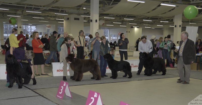 Фотография № 170297