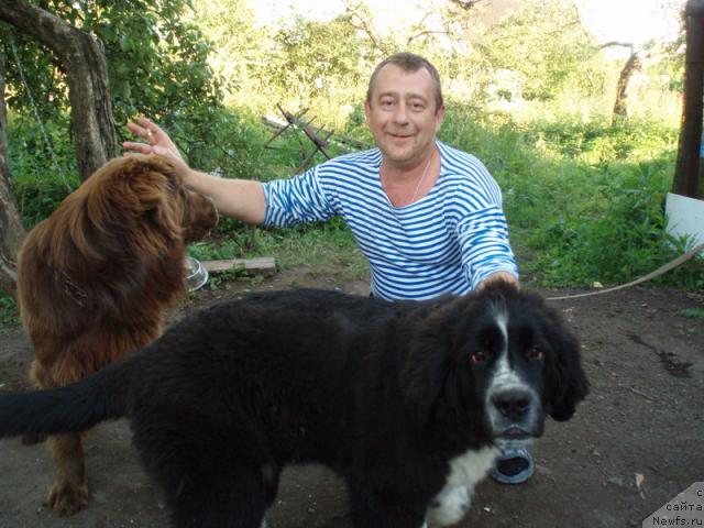 Фото: Владимир Красников