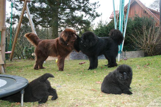 Фотография № 17034