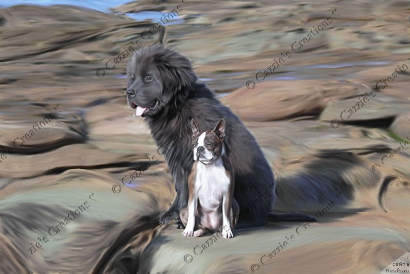 Фотография № 170346