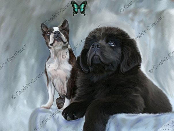 Фотография № 170348