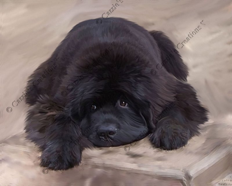 Фотография № 170351