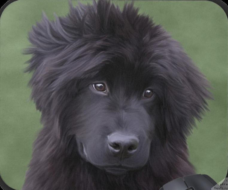 Фотография № 170357