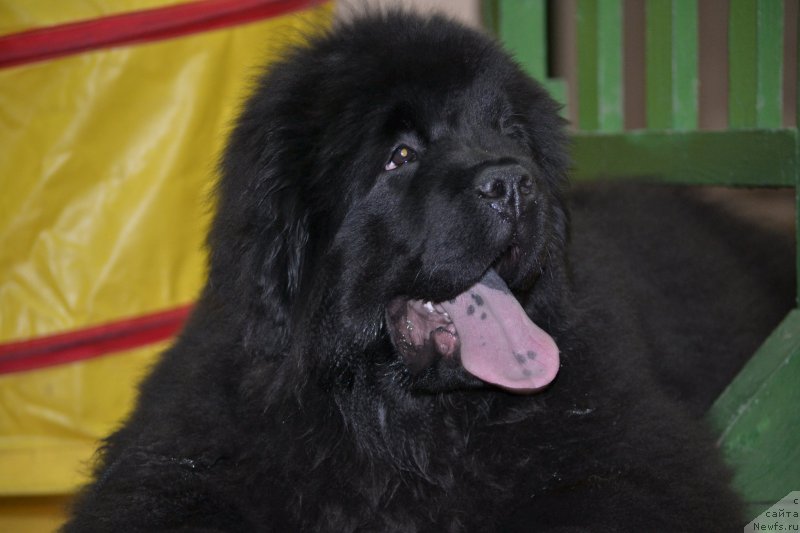 Фотография № 170363