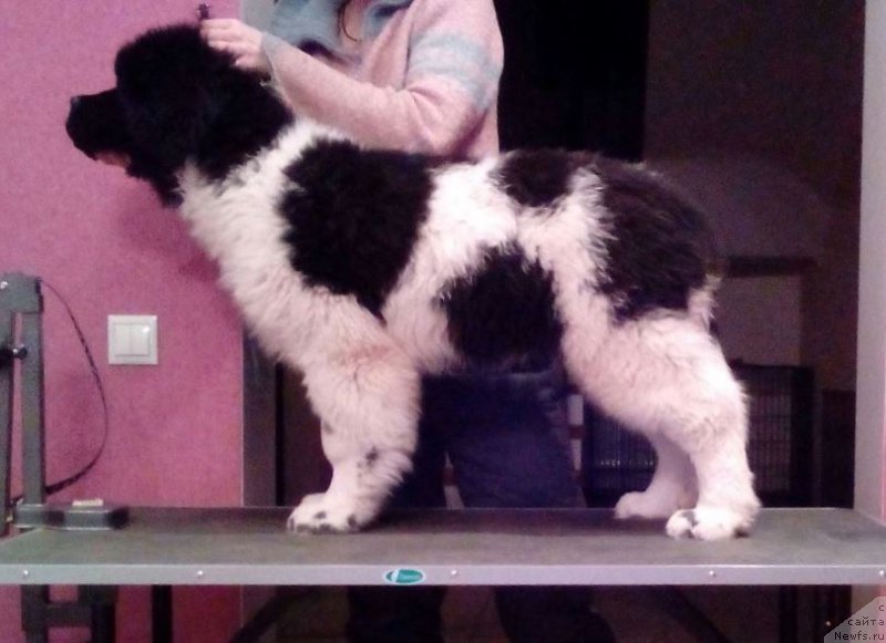 Фотография № 170401